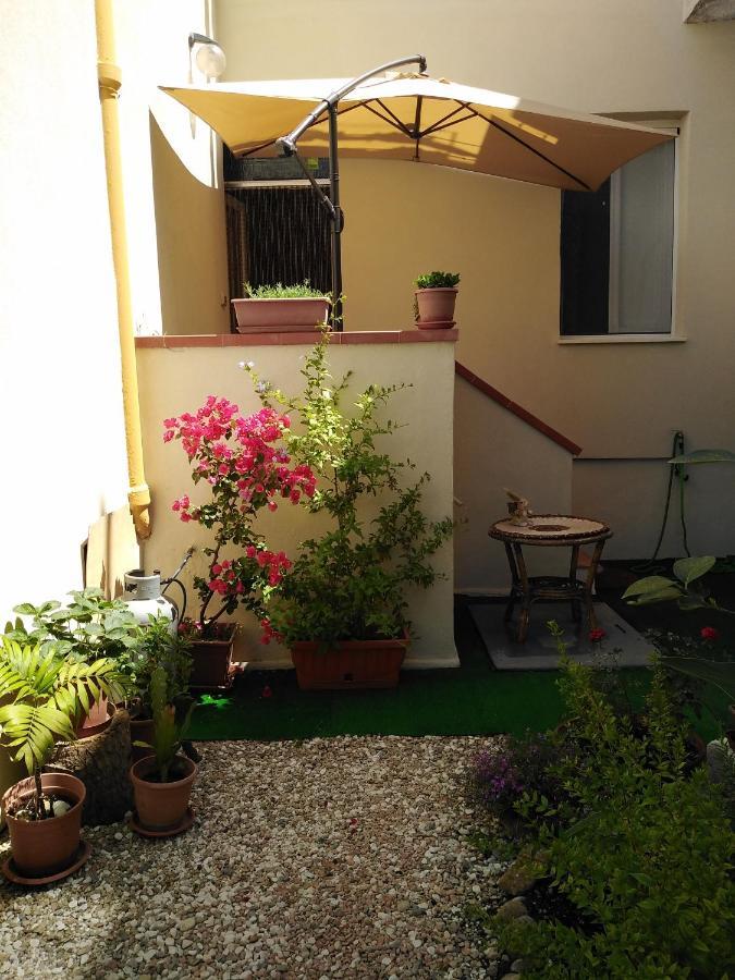 Flowered House With Garden 阿尔盖罗 外观 照片
