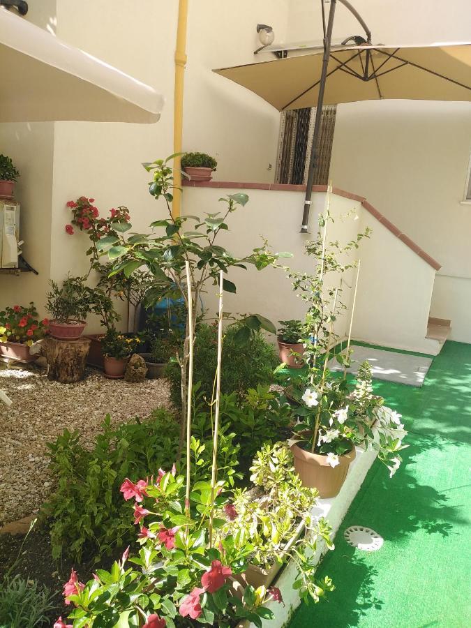 Flowered House With Garden 阿尔盖罗 外观 照片