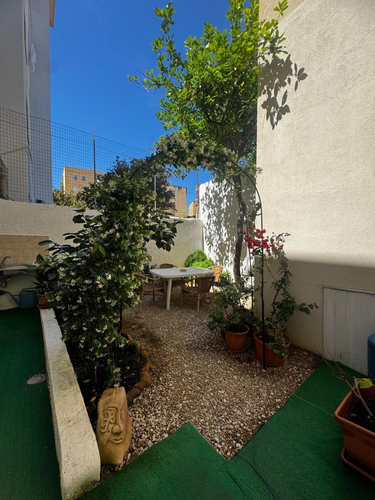 Flowered House With Garden 阿尔盖罗 外观 照片