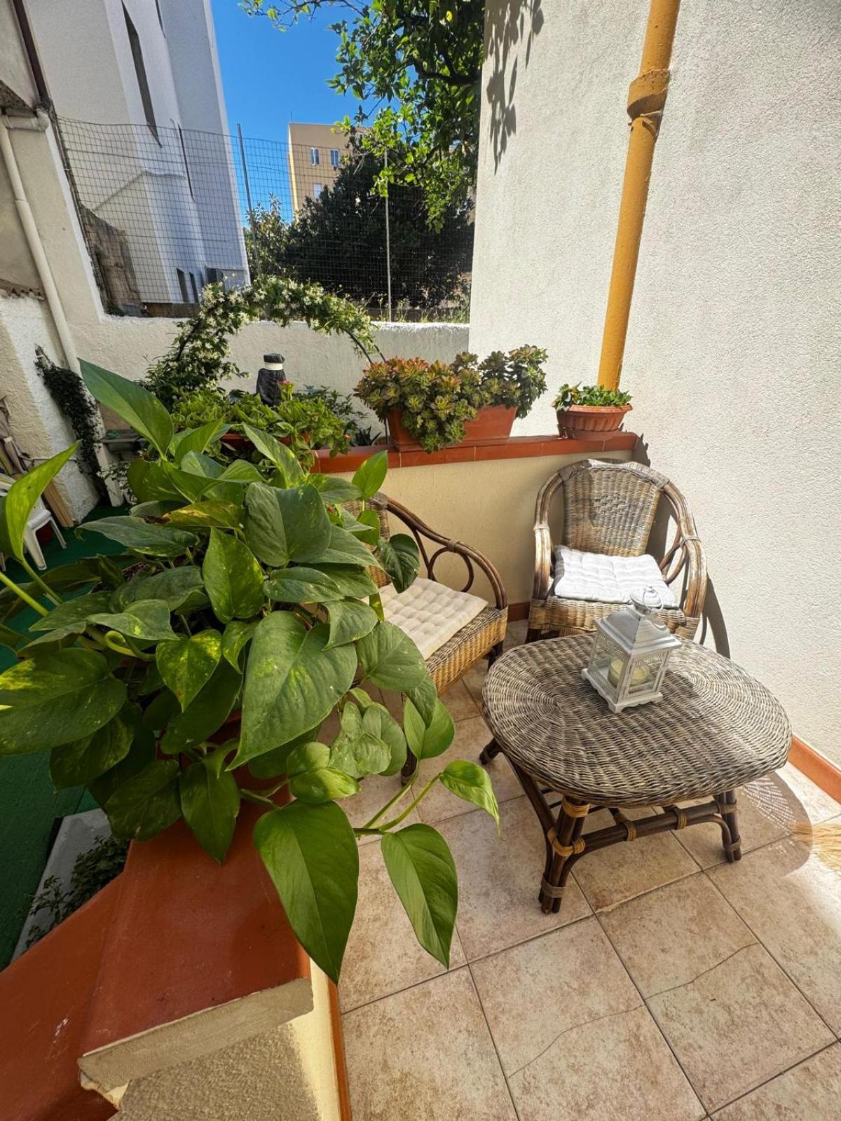 Flowered House With Garden 阿尔盖罗 外观 照片